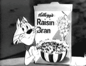 Raisin Bran