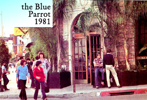 blue parrot bar