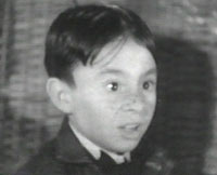 alfalfa1.jpg