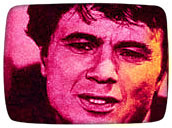 classic television stars - Robert Blake Murder cas