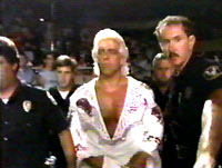 Ric Flair in the ring