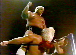 Ric Flair & Dusty Rhodes