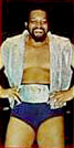 ernie ladd