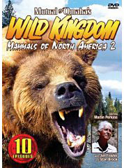 Mutual of Omaha's Wild Kingdom on DVd