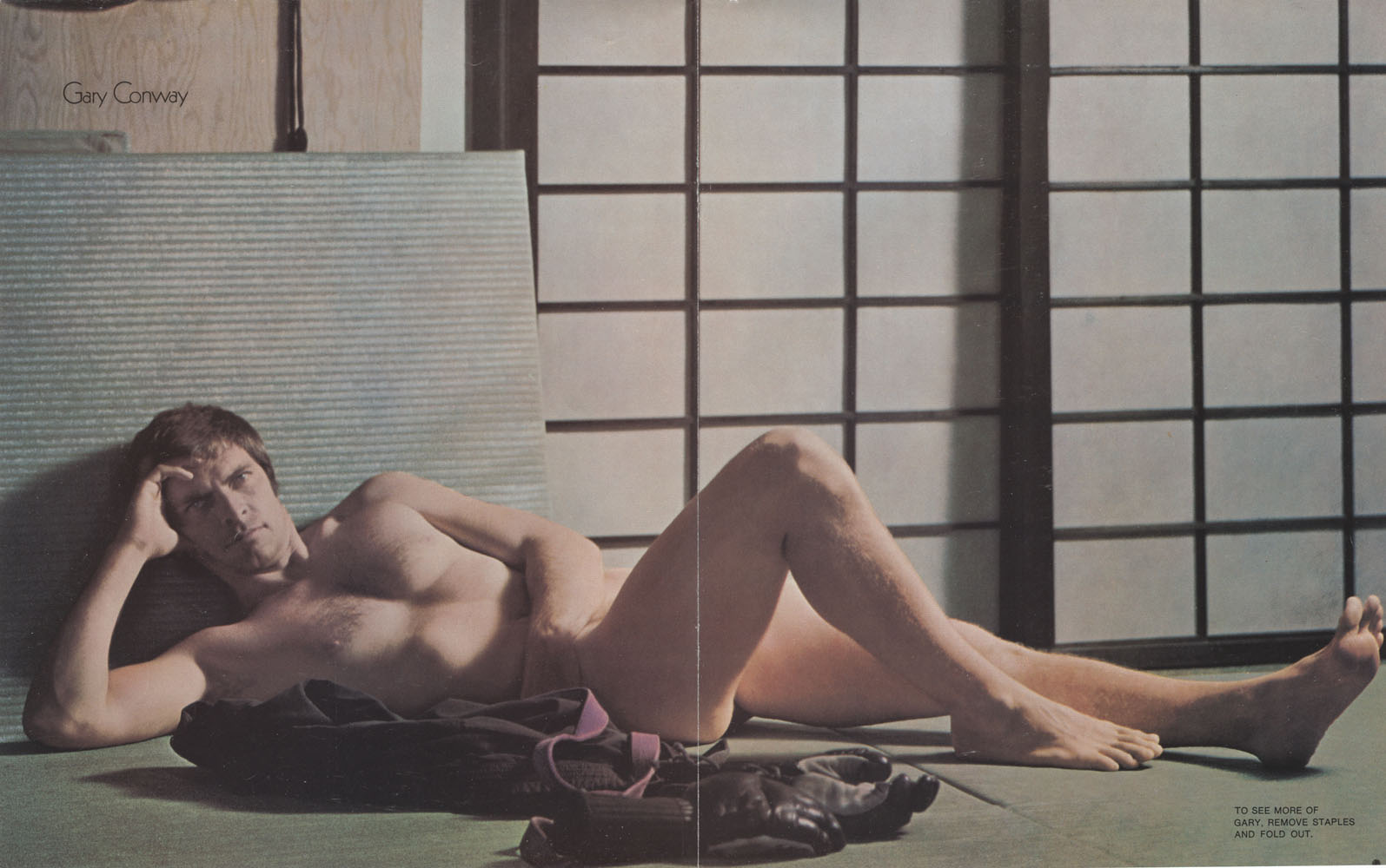 Gary Conway Nude