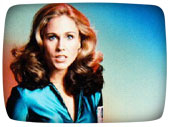 Erin Gray / 1980s TV shows