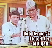 Bob Denver's TV Series after Gilligan's Island