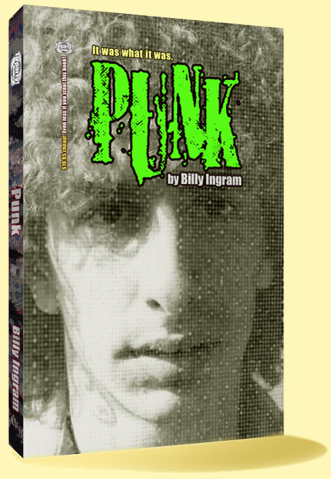 Punk book