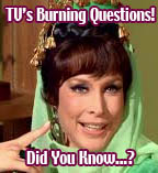 TV's Burning Questions!