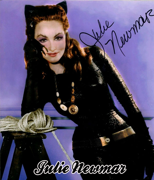 JULIE NEWMAR: A Viewer’s History