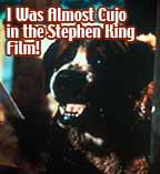 I was almost Cujo in the Stephen King Fim
