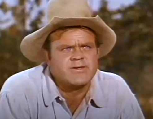 Dan Blocker as Hoss