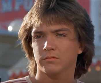 Partridge Family David Cassidy theme park