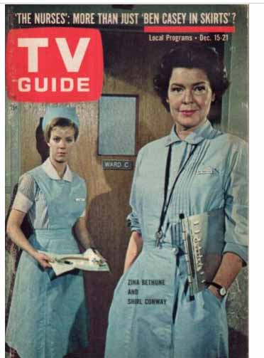 The Nurses TV show 1962
