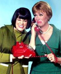 The Mothers in Law TV Show