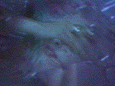 missing persons photo