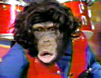 Lance Link Secret chimp